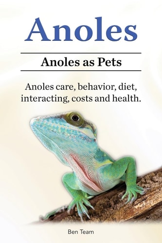Anoles. Anoles as Pets. Anoles Care, Behavior, Diet, Interacting, Costs and Health.
