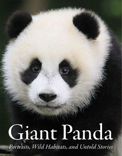 Giant Panda: Portraits, Wild Habitats, and Untold Stories