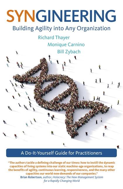Syngineering: Building Agility Into Any Organization: A Do-It-Yourself Guide for Practitioners