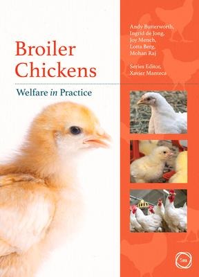 Broiler Chickens: Welfare in Practice