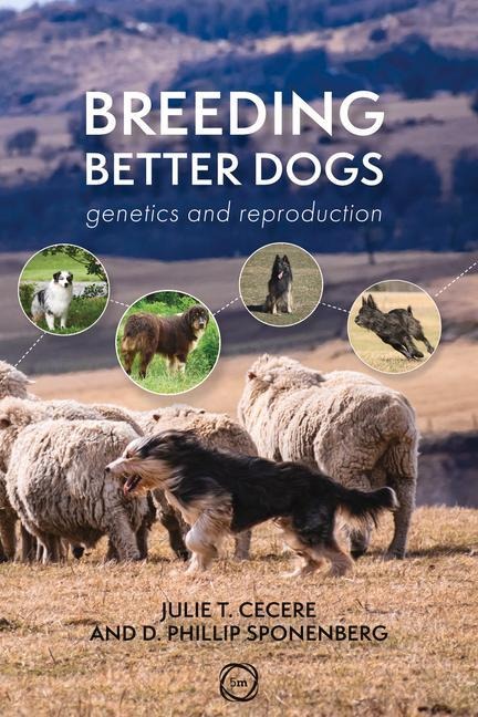 Breeding Better Dogs: Genetics and Reproduction