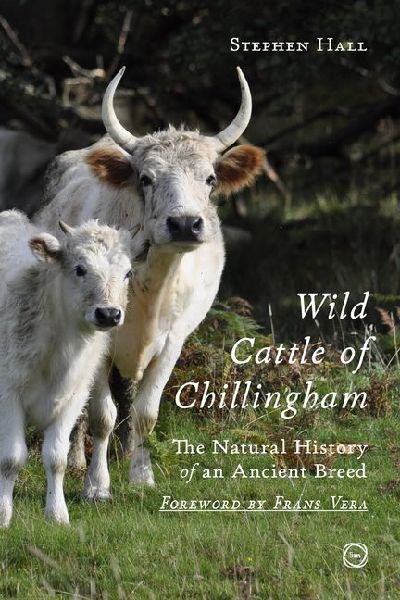 Wild Cattle of Chillingham: The Natural History of an Ancient Breed