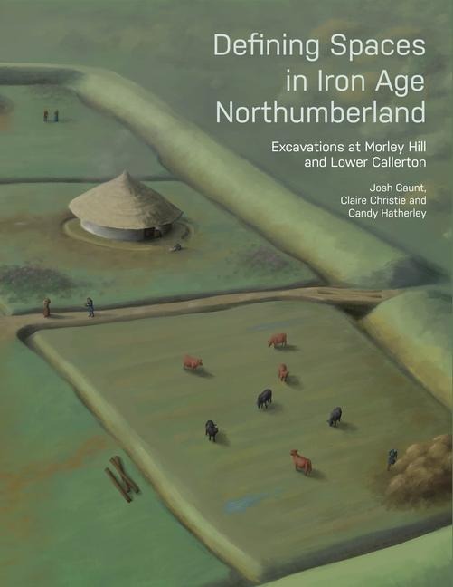 Defining Spaces in Iron Age Northumberland: Excavations at Morley Hill and Lower Callerton