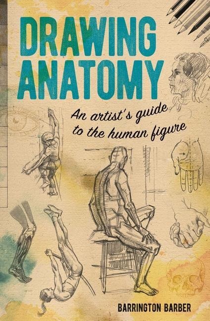 Drawing Anatomy: An Artists Guide to the Human Figure