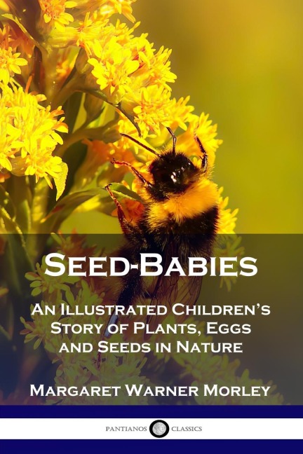 Seed-Babies: An Illustrated Childrens Story of Plants, Eggs and Seeds in Nature