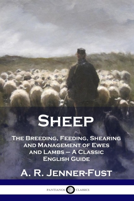 Sheep: The Breeding, Feeding, Shearing and Management of Ewes and Lambs  - A Classic English Guide