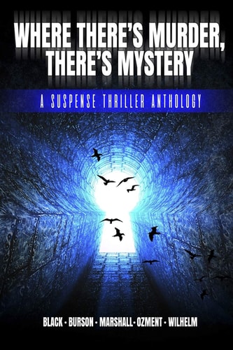 Where There's Murder, There's Mystery A Suspense Thriller Anthology