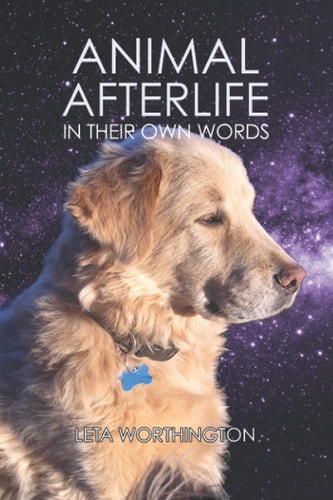 Animal Afterlife In Their Own Words