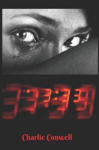 3 33