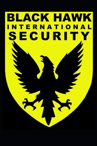 Black Hawk International Security Sales 2019