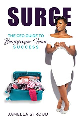 Surge The Ceos Guide to Baggage Free Success