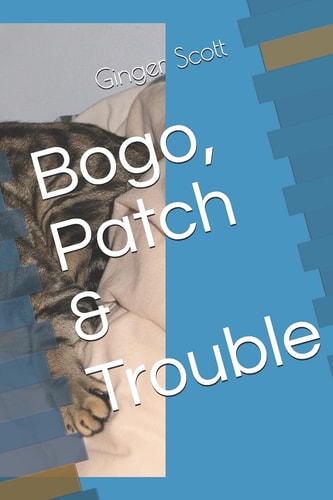 Bogo, Patch and Trouble