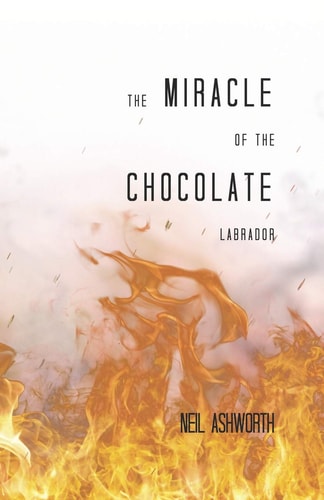 The Miracle of The Chocolate Labrador