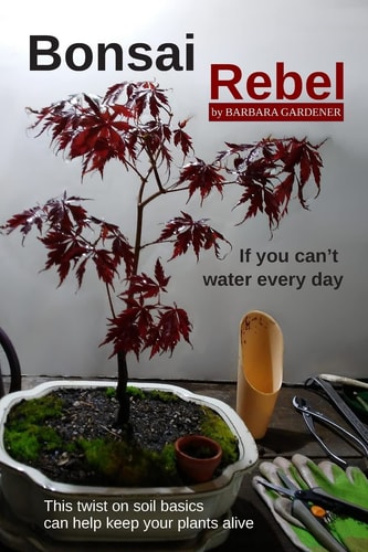 Bonsai Rebel If You Can't Water Every Day
