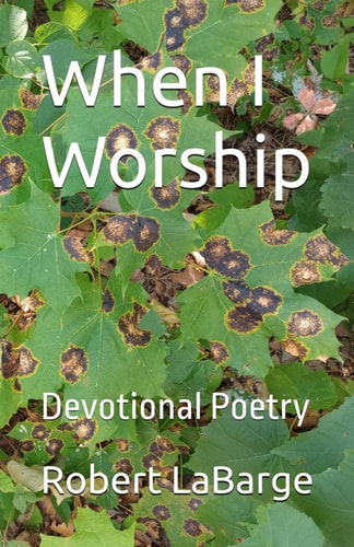 When I Worship Devotional Poetry