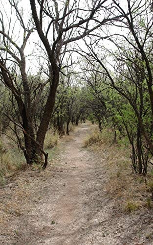 How To Live Change Your Path: Learn from My Mistakes