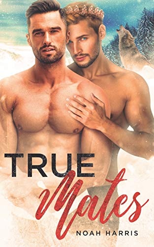 True Mates A Gay Shifter Mpreg