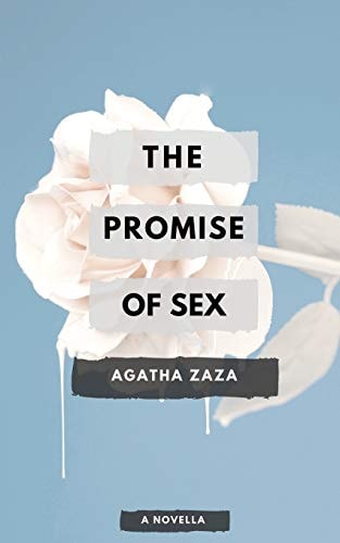 The Promise of Sex A Novella of Singapore