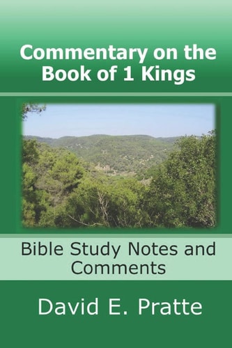 Commentary on the Book of 1 Kings Bible Study Notes and Comments