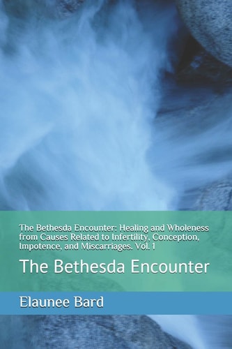 The Bethesda Encounter Healing and Wholeness from Causes Related to Infertility, Conception, Impotence, and Miscarriages. Vol. 1: The Bethesda Encounter