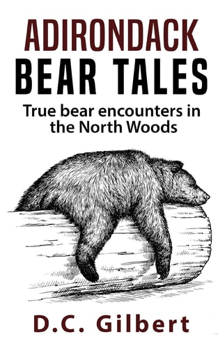 Adirondack Bear Tales True Bear Encounters in the North Woods