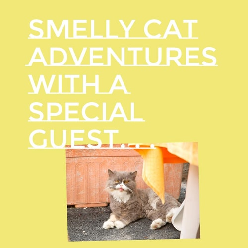 Smelly Cat Adventures with a Special Guest . . .