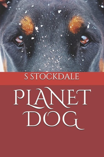 Planet Dog