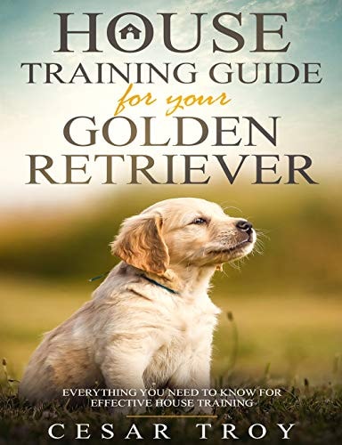 House Training Guide for Your Golder Retriever Everything You Need To Know For Effective House Training