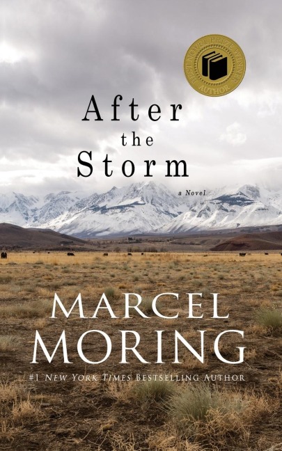 After the Storm: A Novel