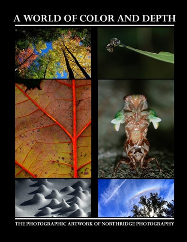 A World of Color and Depth The Photographic Artwork of Northridge Photography