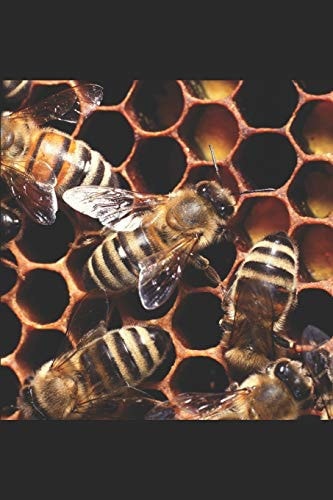 Ruffling the Hornets Nest Reawakening of a Slumbering Giant