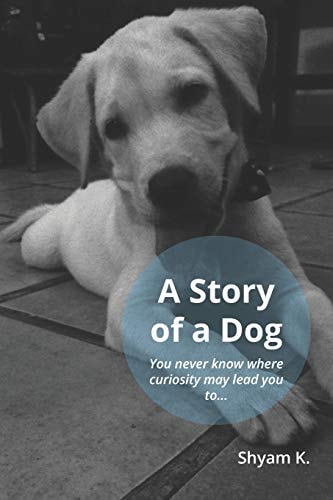 The Story of a Dog You Never Know Where Curiosity May Lead You To