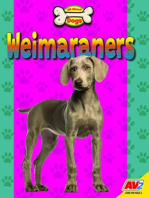 Weimaraners