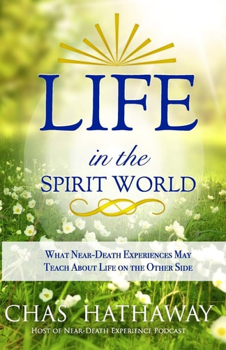 Life in the Spirit World What Near-Death Experiences May Teach about Life on the Other Side