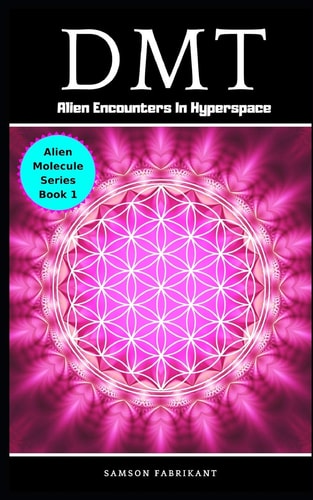 Dmt Alien Encounters In Hyperspace