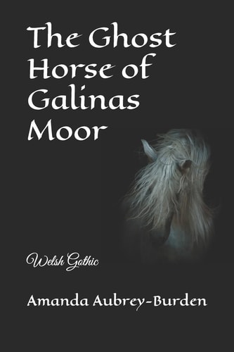 The Ghost Horse of Galinas Moor Welsh Gothic