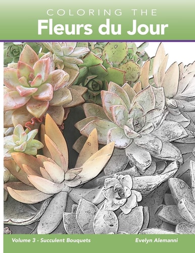 Coloring the Fleurs Du Jour Volume 3 Succulent Bouquets