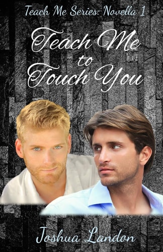 Teach Me to Touch You Teach Me Series, Novella 1