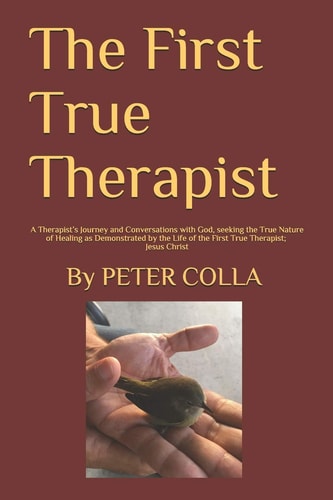 The First Pure Therapist A Therapist's Journey and Conversations with God, Seeking the True Nature of Healing As Demonstrated by the Life of the First True Therapist; Jesus Christ