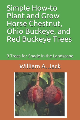 Simple How-To Plant and Grow Horse Chestnut, Ohio Buckeye, and Red Buckeye Trees 3 Trees for Shade in the Landscape
