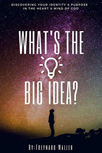 What's the Big Idea? Discovering Your Identity and Purpose in the Heart and Mind of God