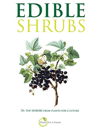 Edible Shrubs 70+ Top Shrubs from Plants for a Future