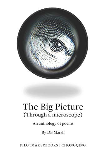 The Big Picture (Through a Microscope)
