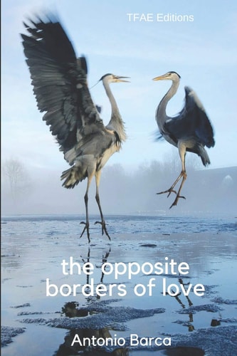 The Opposite Borders of Love An Unexpected Thriller