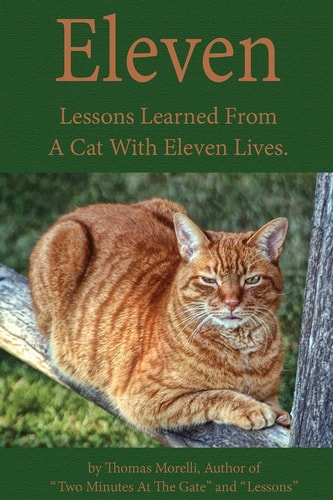 Eleven Eleven Lessons My Cat Taught Me