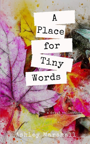 A Place for Tiny Words A Debut Collection
