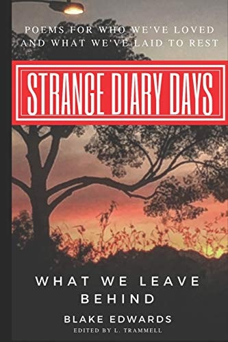 Strange Diary Days What We Leave Behind