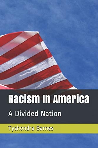 Racism In America A Divided Nation
