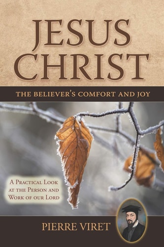 Jesus Christ the Believer's Comfort and Joy A Practical Look at the Person and Work of Our Lord