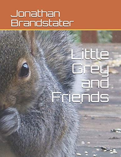 Little Grey and Friends